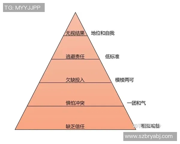 武汉羽毛球队战术解析：聚焦技术与团队协作的完美结合