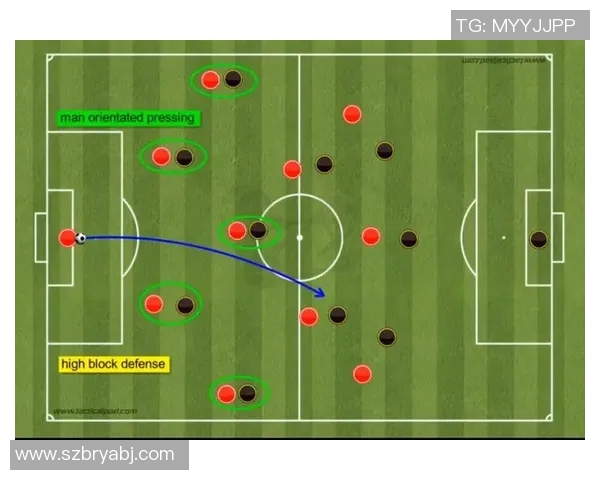 深入分析北京排球队区域防守战术的特点与应用策略