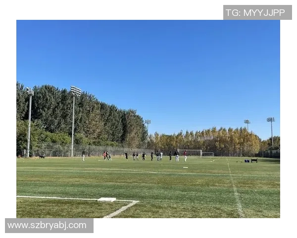 探索附近足球场的乐趣与活动，享受运动带来的健康与快乐